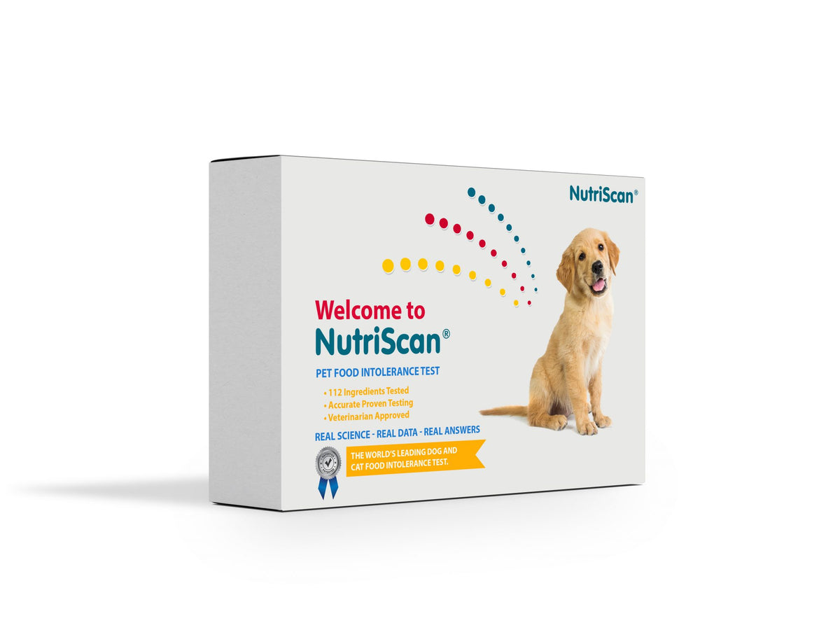 Dog Food Intolerance and Sensitivity Test by NutriScan Nutriscan